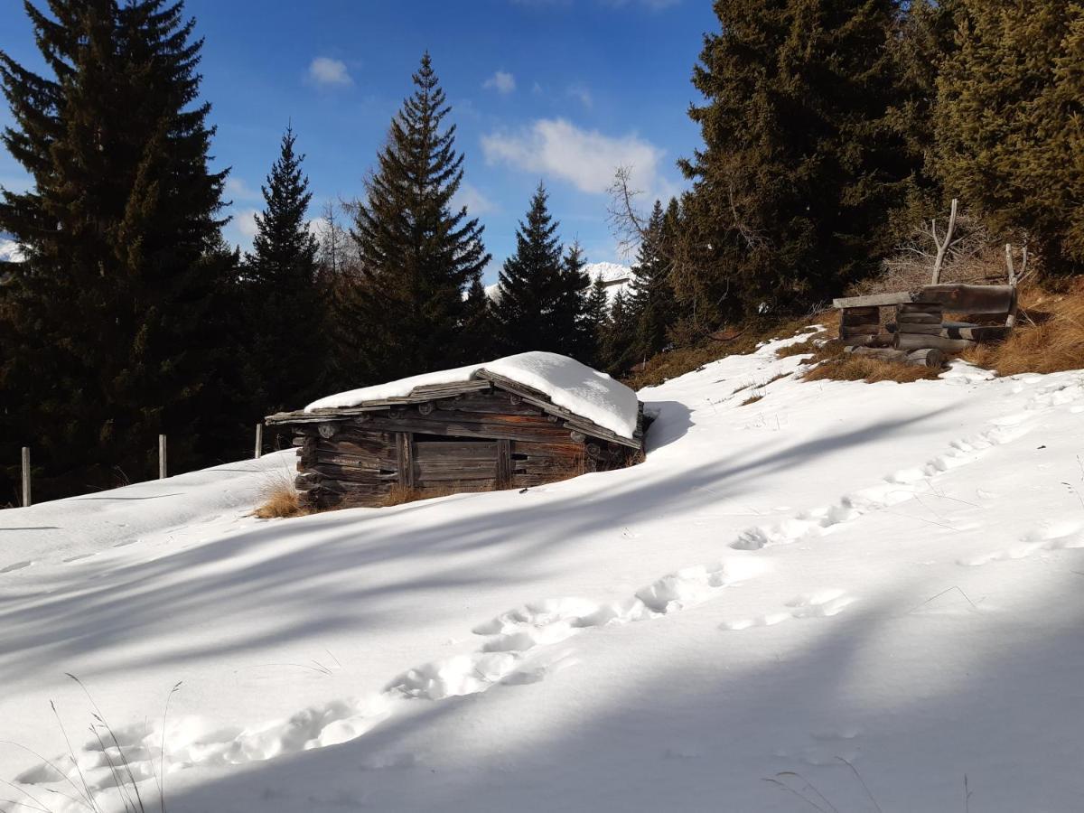 Appartement Gsaller